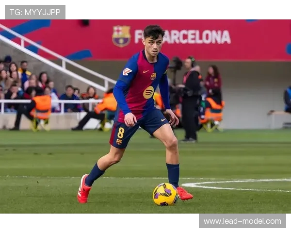 哪里能看西甲联赛直播：如何收看西甲联赛的直播渠道与平台