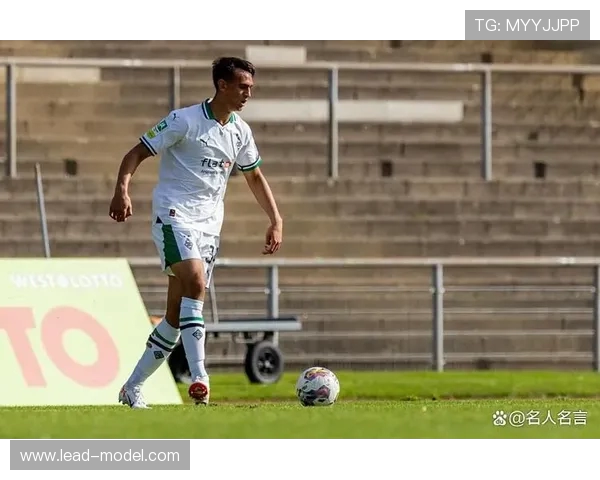 德甲球队的球员薪资排行：谁的收入最高